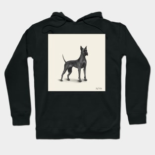 Great Dane Drawing in Black Digital Ink Hoodie